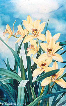Yellow Orchids IV