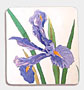 <strong>Blue Iris Pin</strong>