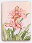 <strong>Pink Orchids Pin</strong>